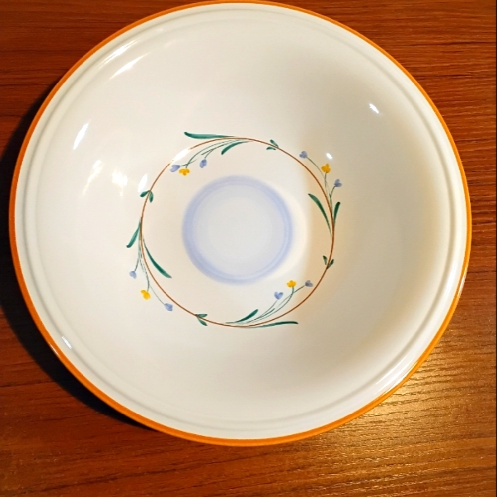 Savoir Vivre “Porto Rotondo” Rust Trim Blue w Yellow Floral 2 - Side Bowls 9.5”